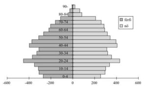 1. ábra. Magyarország korfája 1999. január 1-jén (ezer fő). Alakja jellemző és többféle lehet. A piramis- vagy gúlaforma, a fiatal korosztályok aránya nagy, sajnos hazánkra a fogyó típusú a jellemző, a hagyma alak. A harang alakú a stacioner korösszetétel jellemzője.